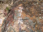 DSCF1739
