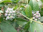 DSCF0847
