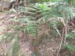 DSCF0859