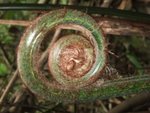 DSCF0869