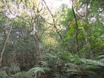 DSCF0871