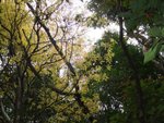 DSCF0875