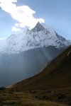 IMG_7900