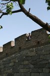 Finally, I "climbed up" the Great Wall...by cable car