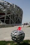 Big and small bird nest