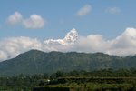IMG_7571