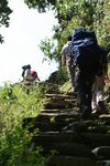 up hill up hill