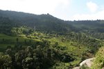 IMG_7585