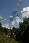 IMG_7587