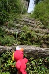 Elmo: when will up hill finish?  Flor: The worst thing is up-down-up-down...
