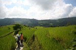 IMG_7599