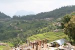 IMG_7603