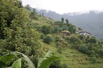 IMG_7628
