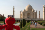 Elmo in Taj Mahal