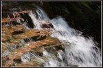 IMG_078