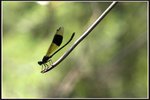 IMG_083
