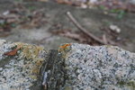 IMG_9672