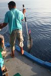 poor fish, why you fall into the trap of fake bait.