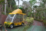 pineapple park