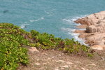 IMG_8551