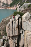 Palm's Cliff