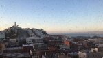 IMG-20160914-WA0004
