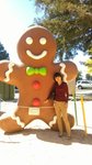 IMG-20160916-WA0017