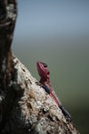 IMG_8503
