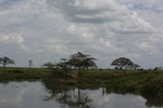 IMG_8636