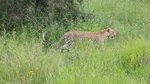 IMG_8670