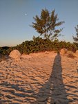 IMG_20190323_072149