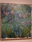 IMG_20180715_151051