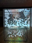 IMG_20180715_161135