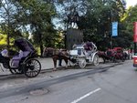 IMG_20180715_164856