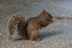 IMG_9503