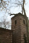 IMG_5198