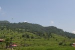 IMG_8004