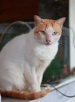 IMG_6827