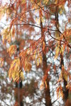 IMG_7534