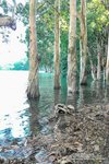 IMG_1781