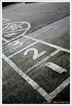 IMG_2798_1