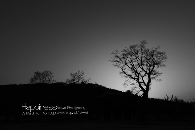 福氣 - 29 March to 1 April 2013