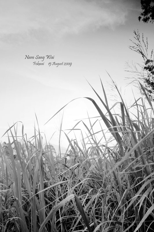 晴缺。缺情 。15 August 2009