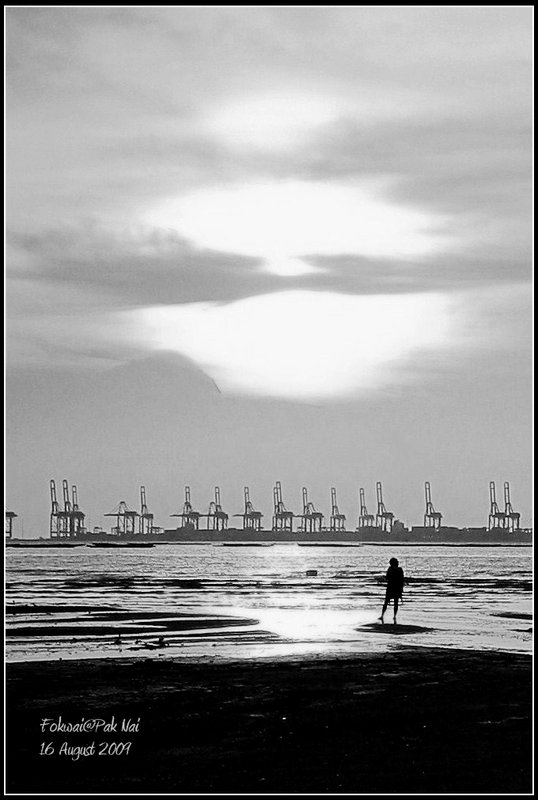 看 。16 August 2009