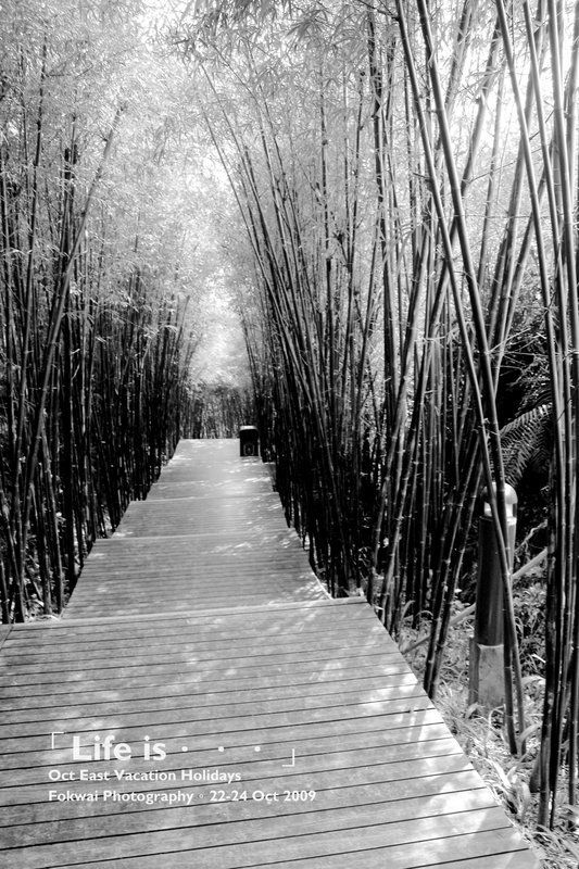 生活是。。。 。 22 to 24 Octocber 2009