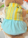 Dog Dress 18.6