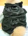 Dog Dress 19.6