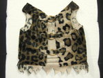 Dog Dress 8.2