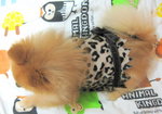 Dog Dress 8.3
