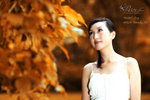 Ivy_013
